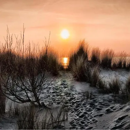 Peaceful Getaway Near *